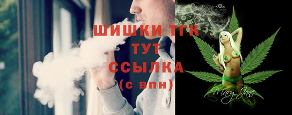 гидра Богданович