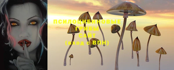 экстази Богородск
