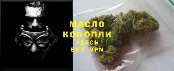 гидра Богданович