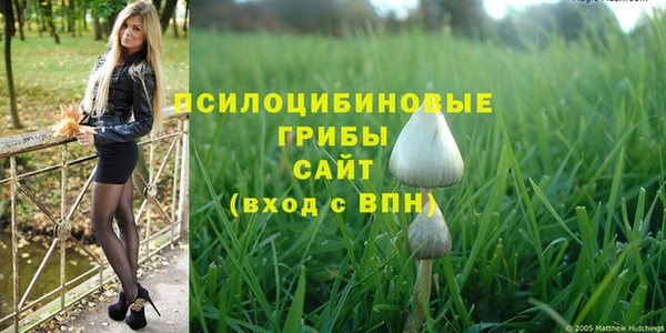 ГАЛЛЮЦИНОГЕННЫЕ ГРИБЫ Богородицк