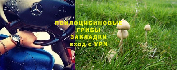 ГАЛЛЮЦИНОГЕННЫЕ ГРИБЫ Богородицк