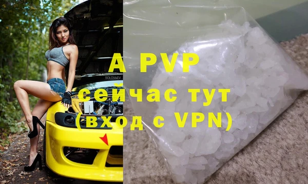 гидра Богданович