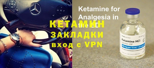 гидра Богданович