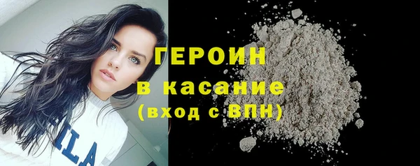 гидра Богданович