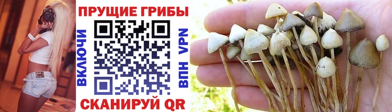 Псилоцибиновые грибы MAGIC MUSHROOMS  Барабинск 